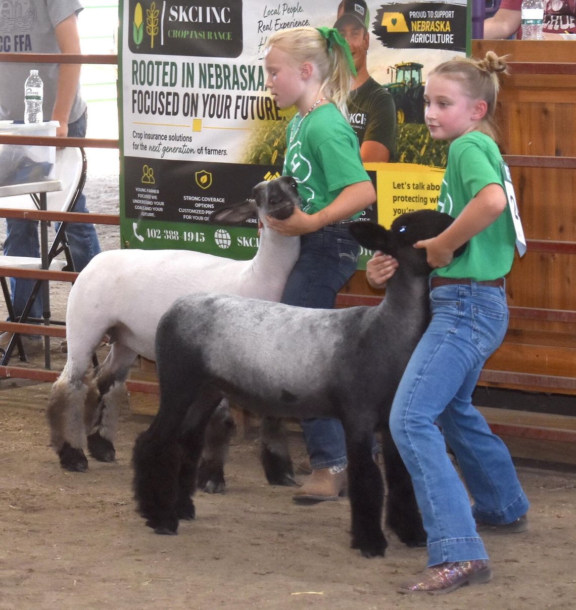 Cedar County Fair Sheep Show
