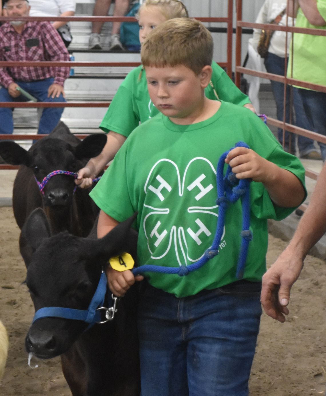 Cedar County Fair - Thursday 4H Shows