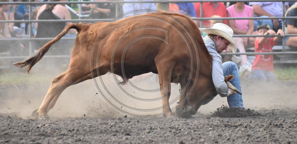 Cedar County Rodeo