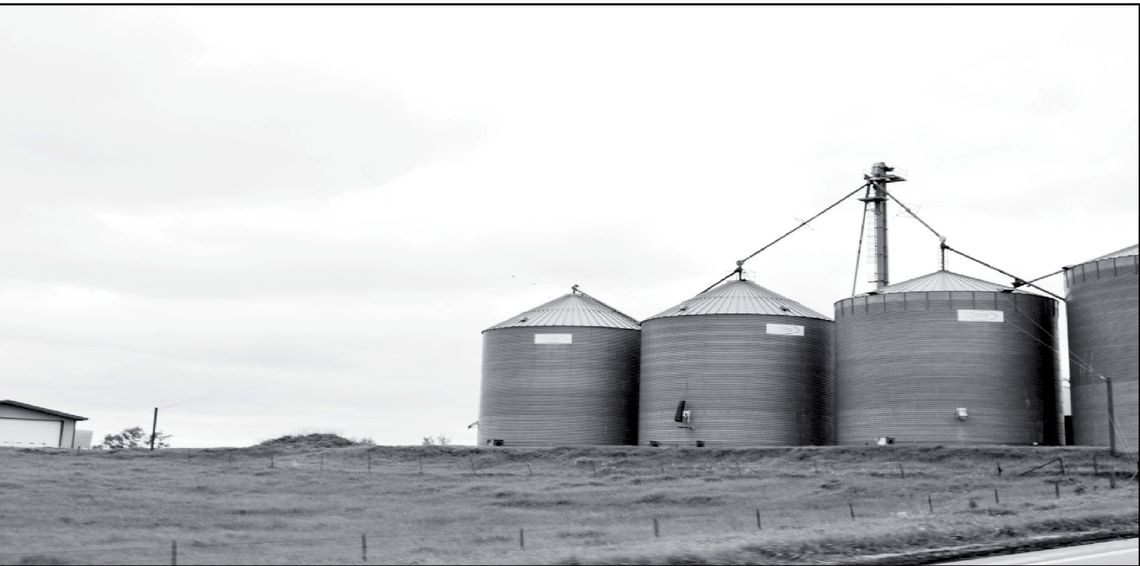 Colostrum can really set calves up for success Colostrum can really set calves up for success