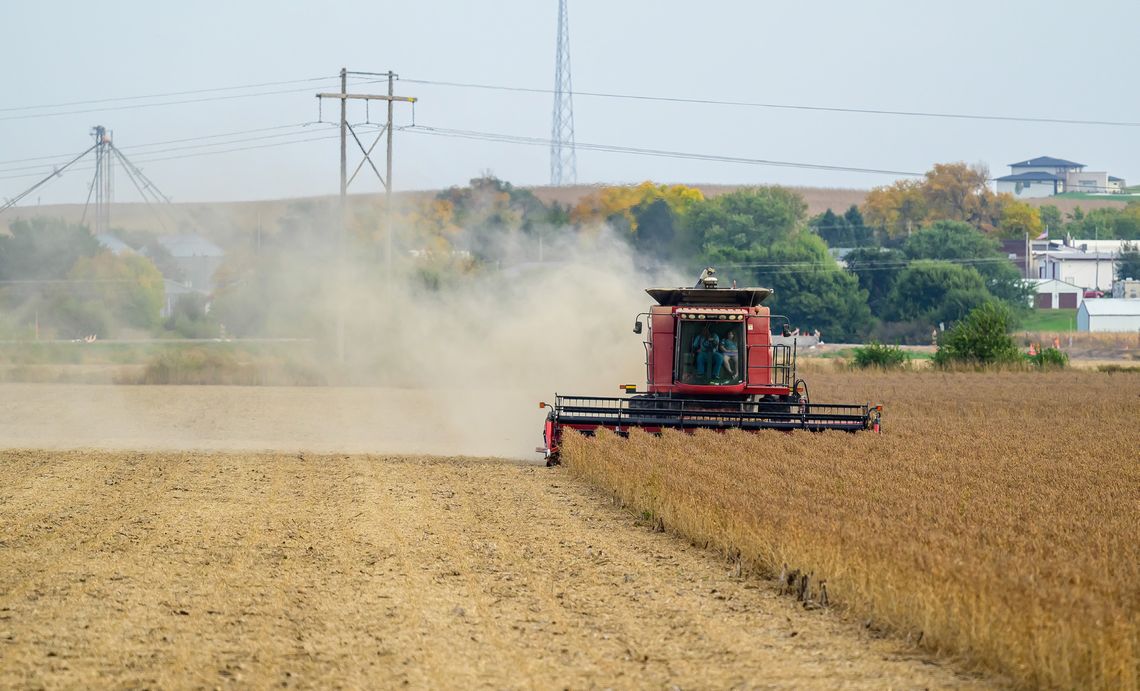 Crops out of the fields
