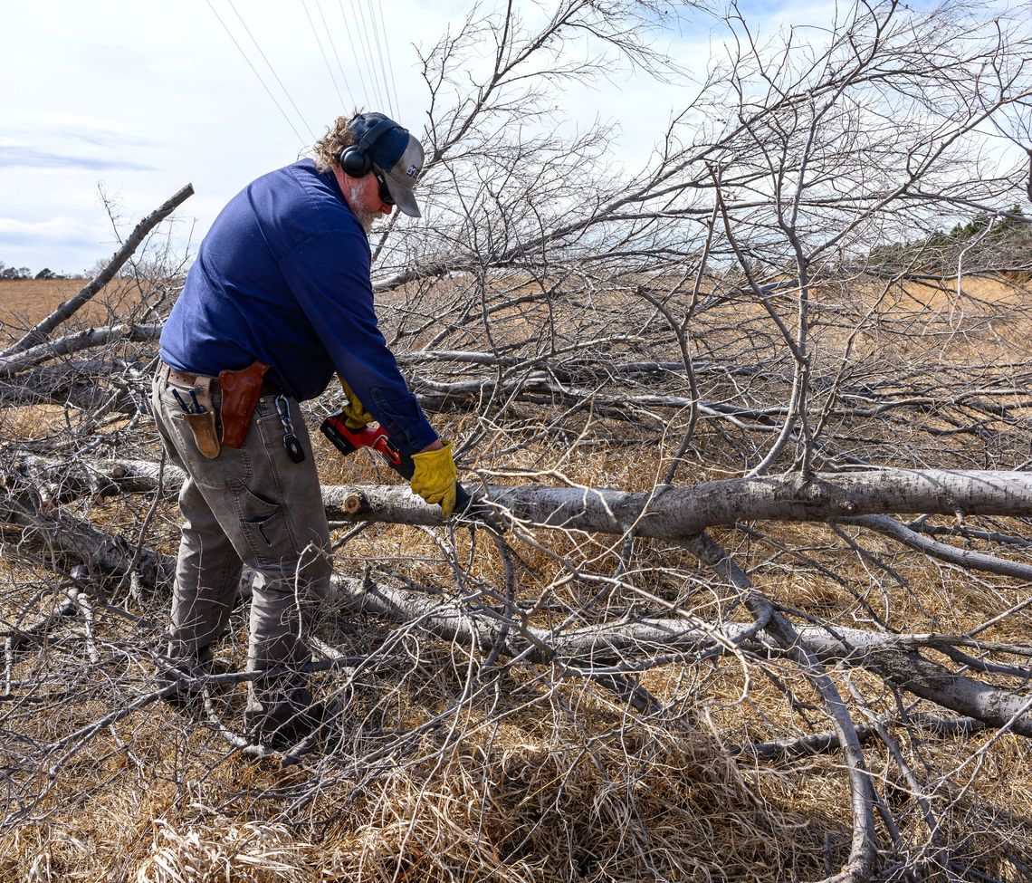 Cutting through the noise