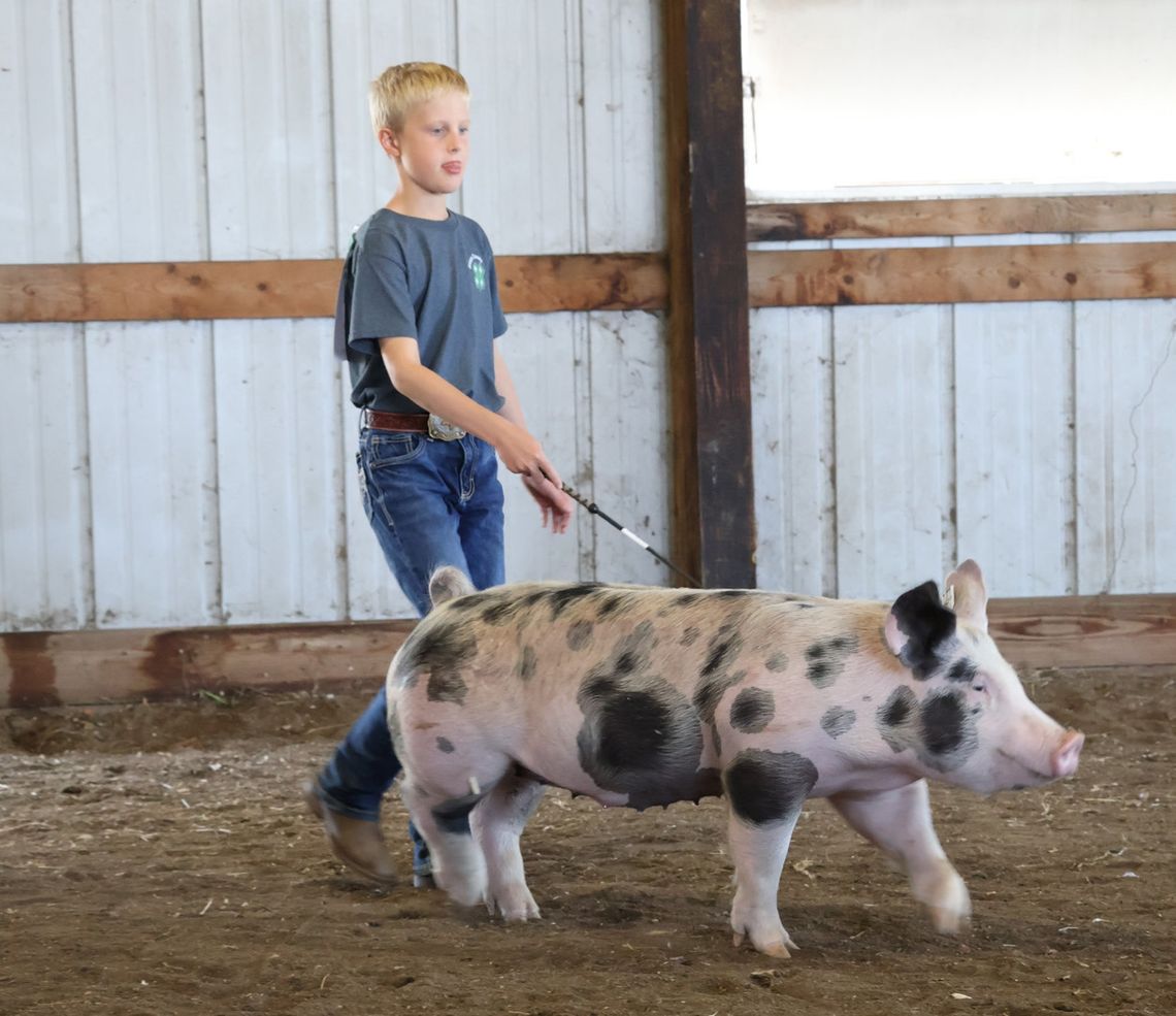 Dixon County 4-H Fair Results by Club