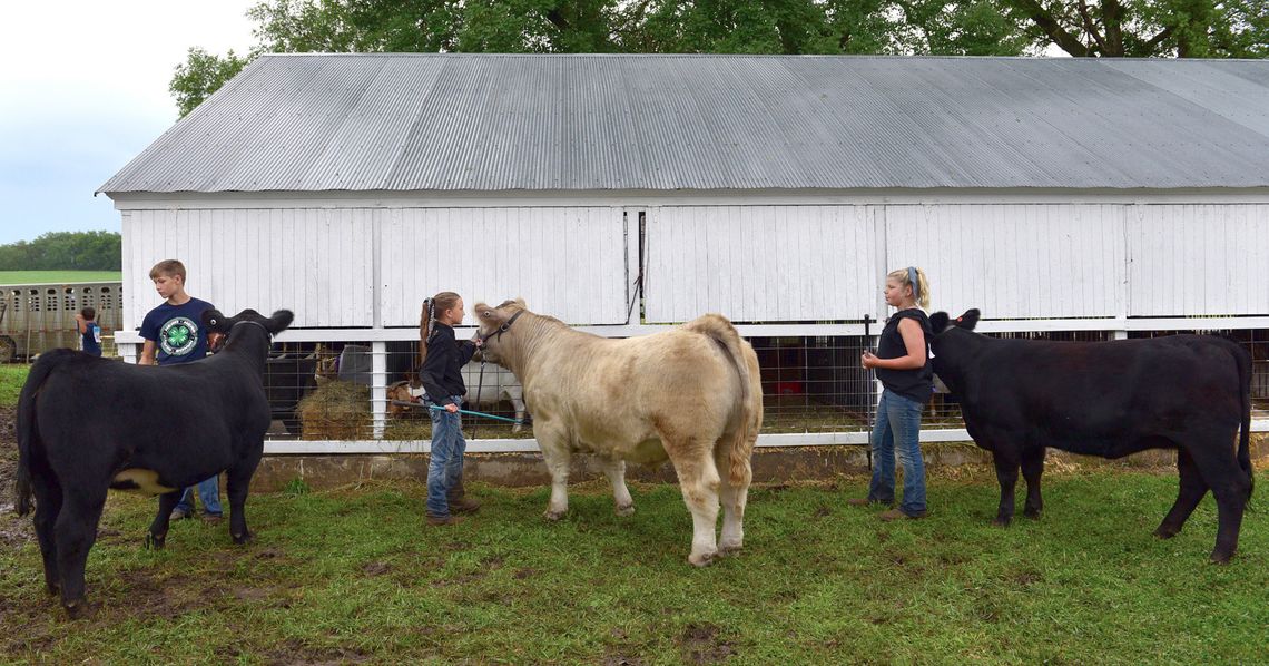 Dixon County Fair