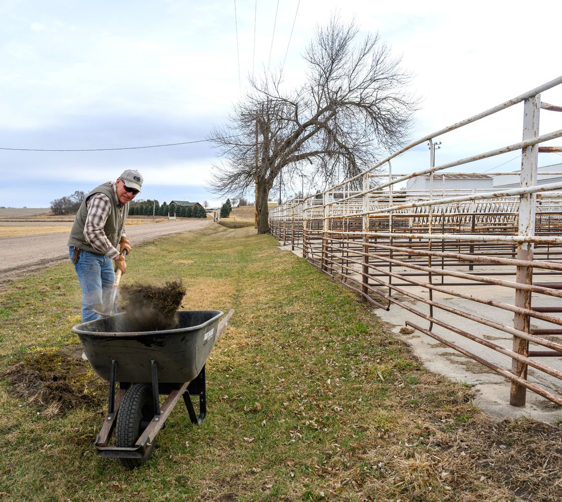 Early spring clean up
