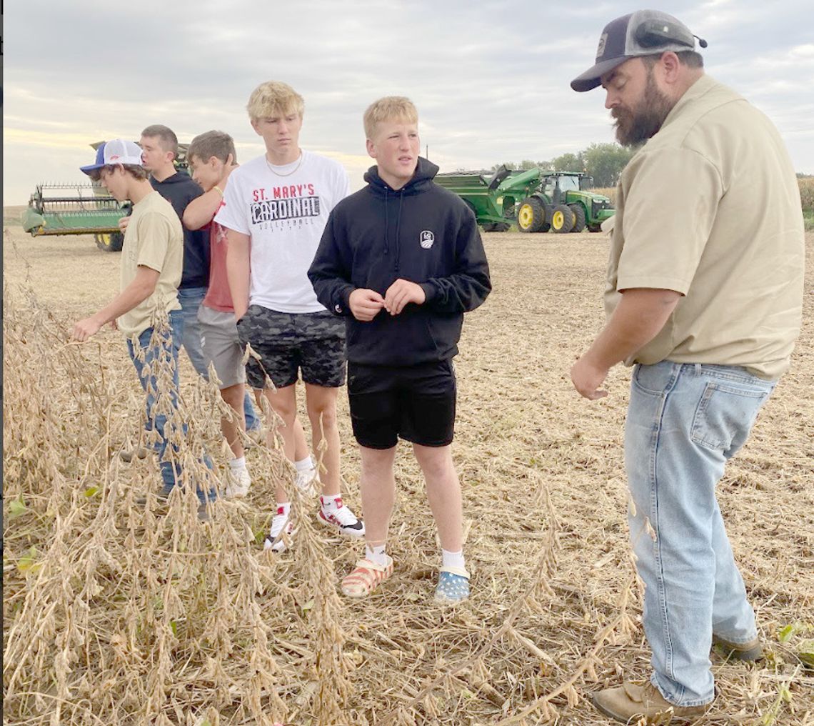 FFA members look at harvest time on their test plot