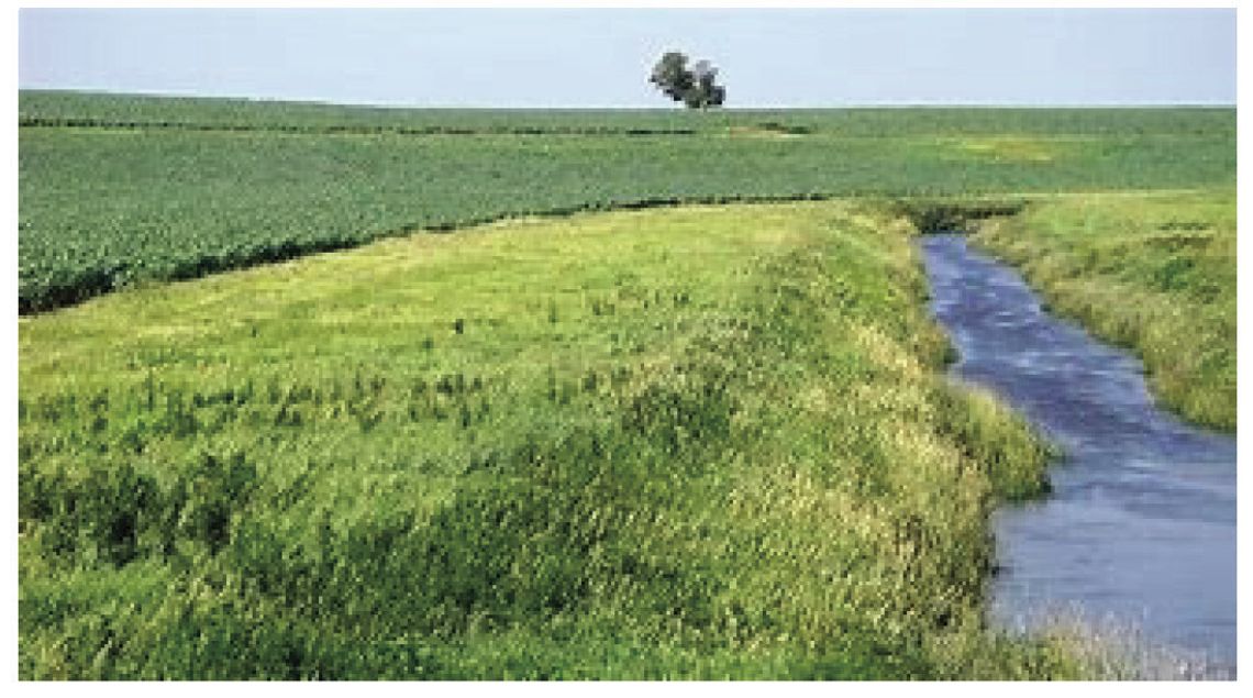 Funds available to establish buffer strips