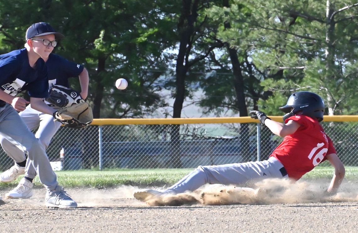 Hartington Red sinks Navy