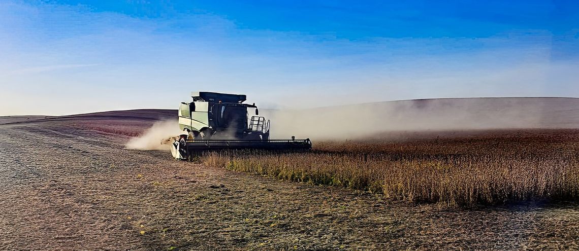 Harvest Time