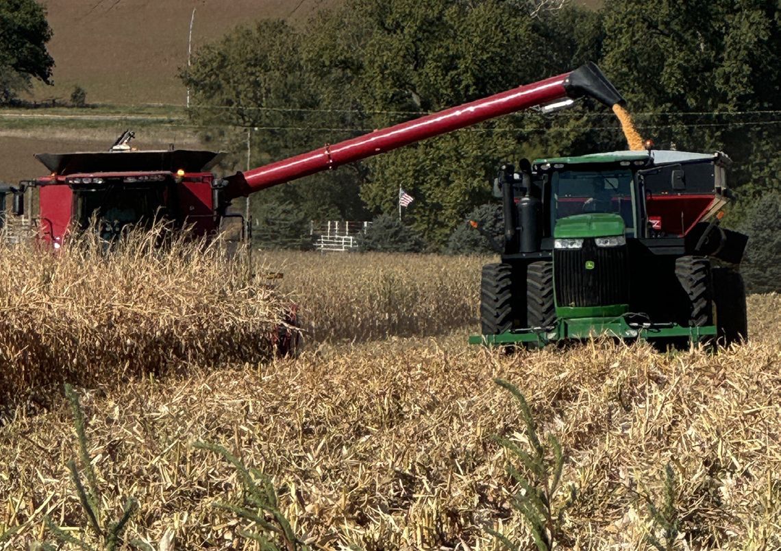 Harvest underway