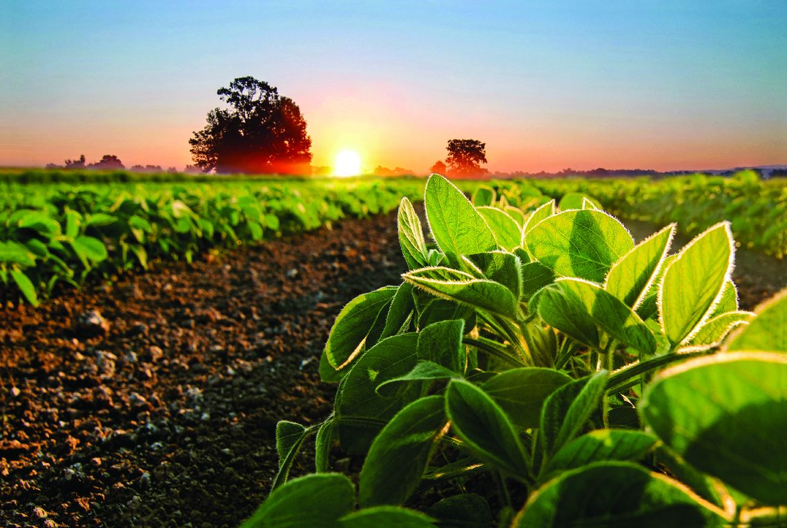 Haskell Ag Lab to highlight cover crop research