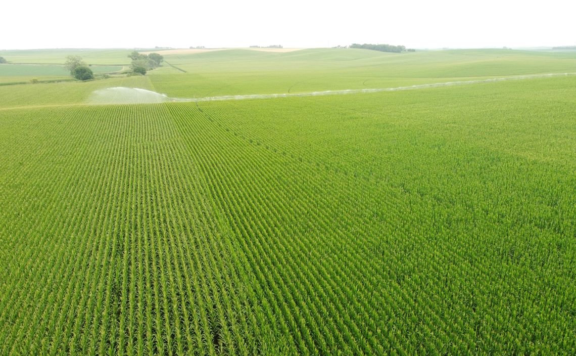 Helping the crops Helping the crops