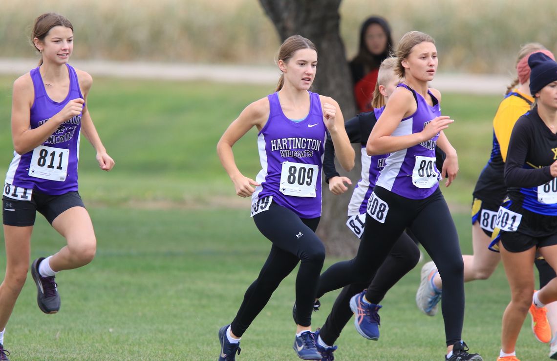 HNS girls qualify for State; Adam Elks an individual State qualifier