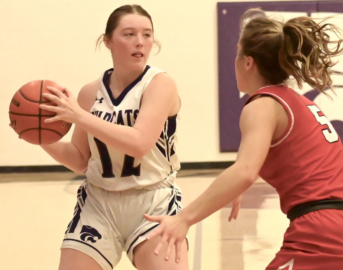 HNS Lady Wildcats hit a dry spell