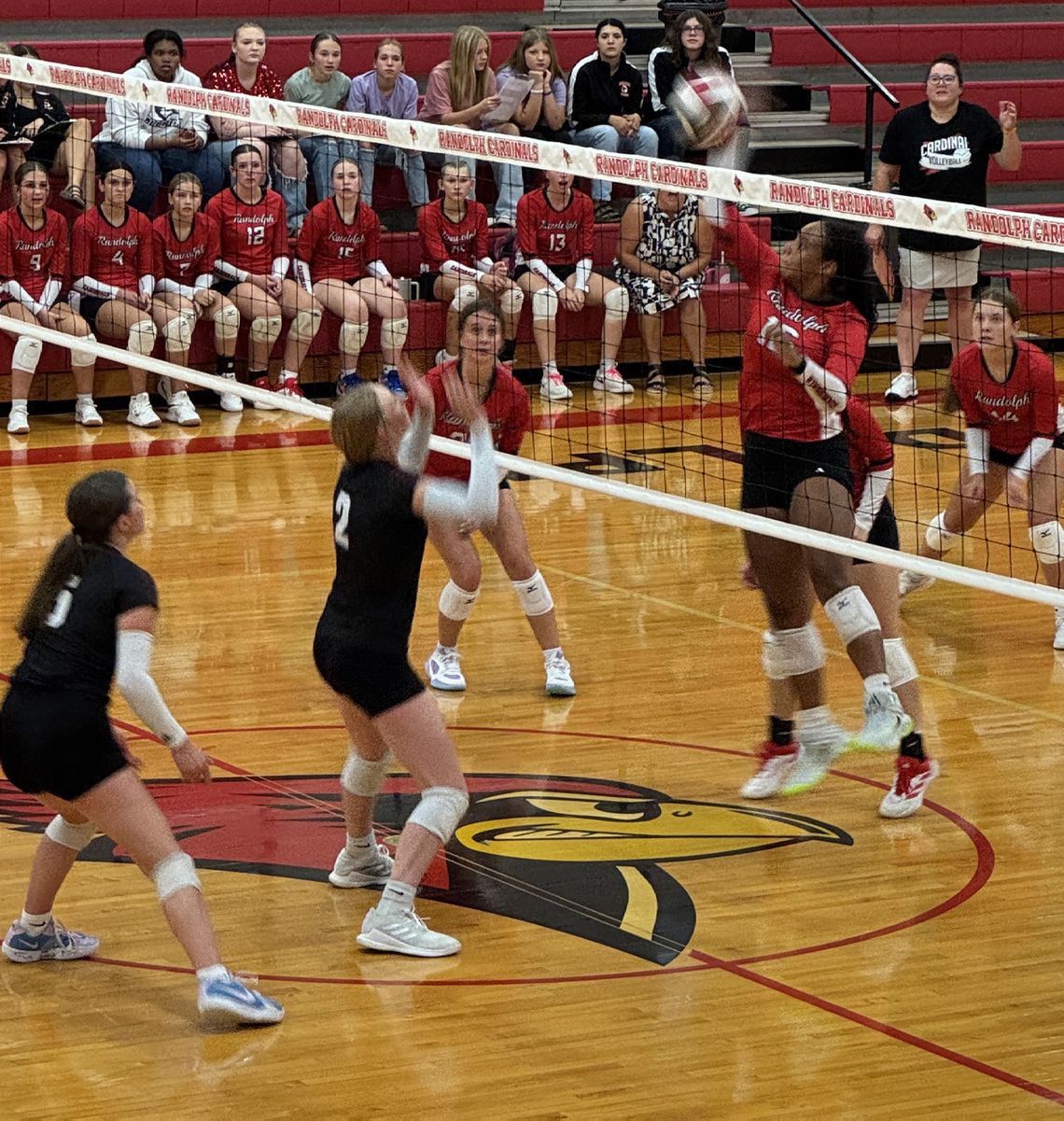 Lady Cards battle against Stuart