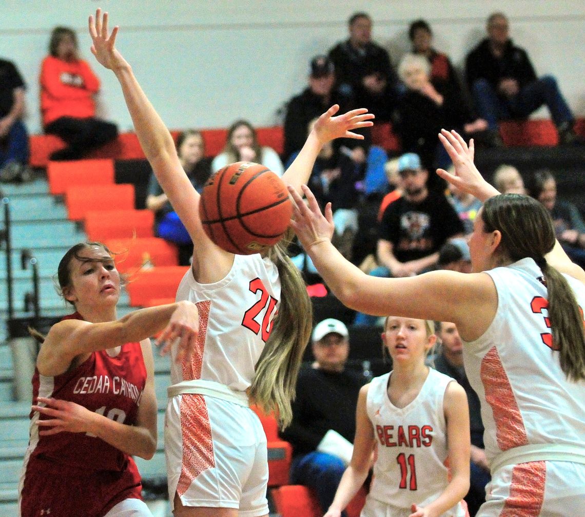 LCC Lady Bears fall to Cedar, top Winnebago