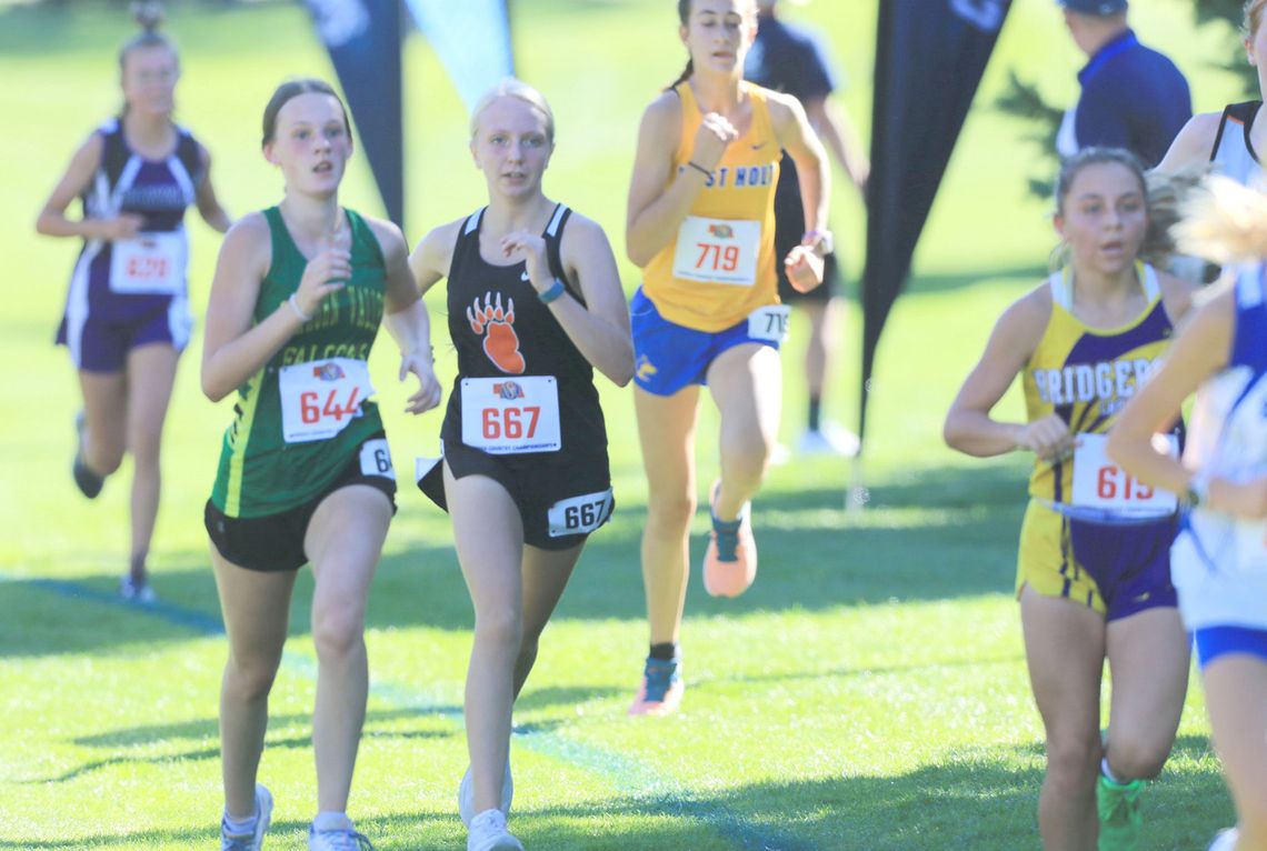 LCC runners compete at State