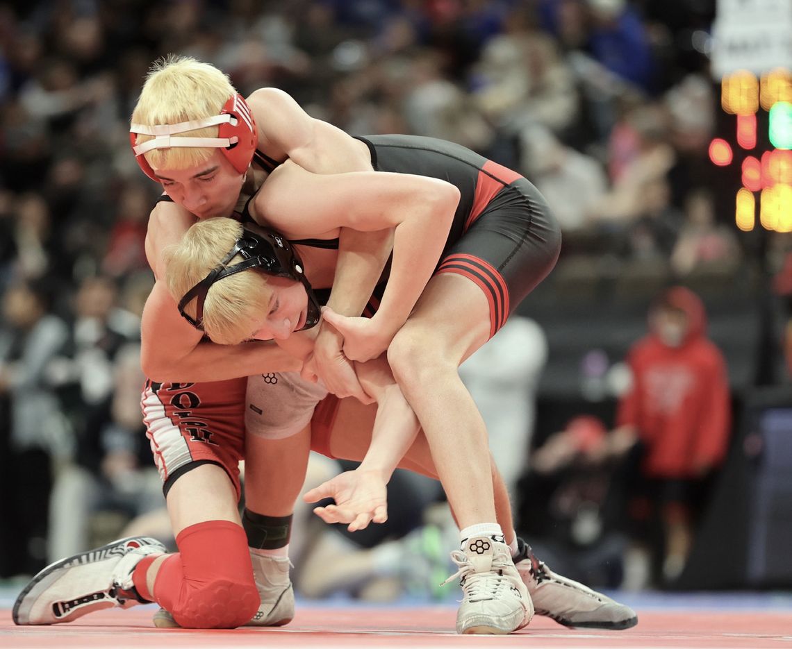 Reimers brings home another State medal Reimers brings home another State medal