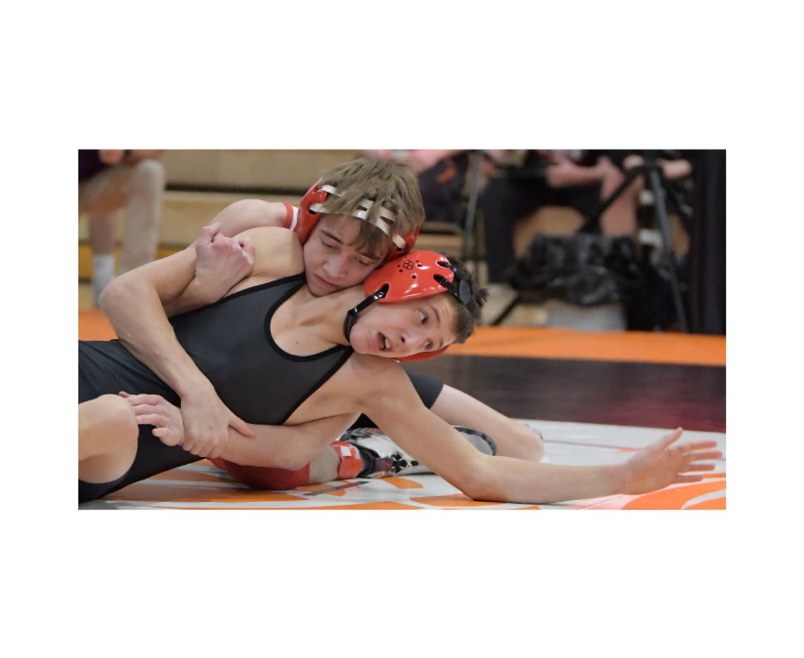 Reimers is going after another State medal Reimers is going after another State medal