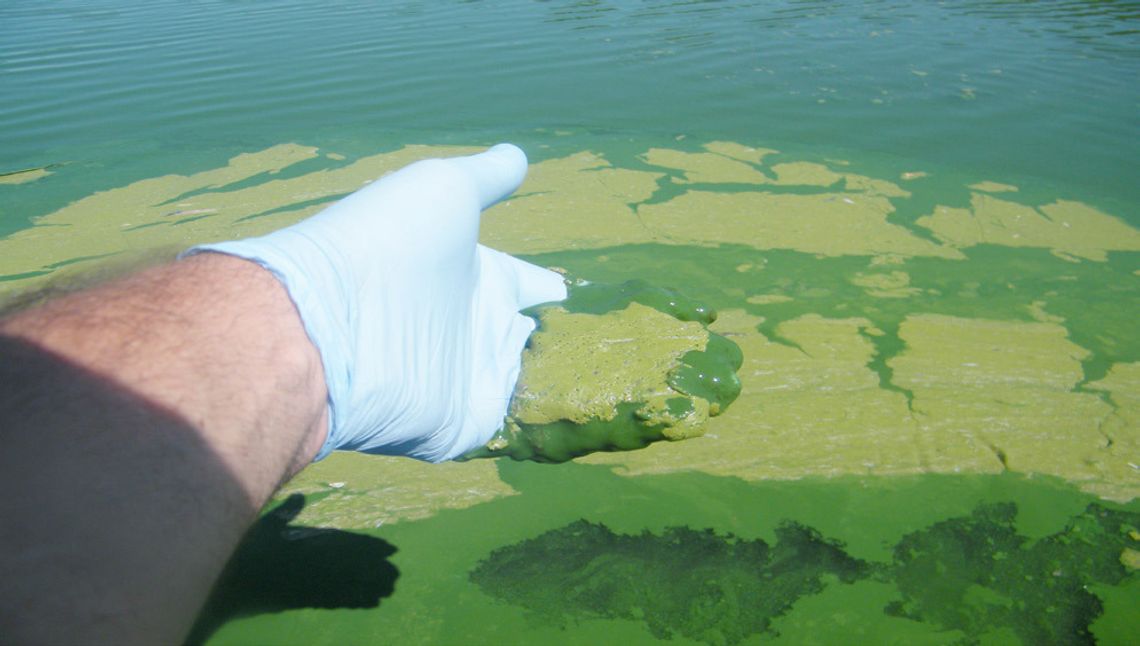 Toxic algae is fouling Nebraska lakes, raising water concerns