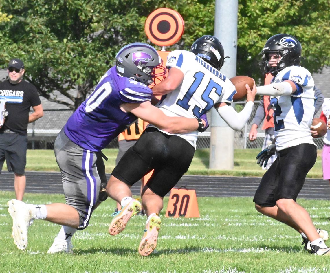 Wildcat whipping