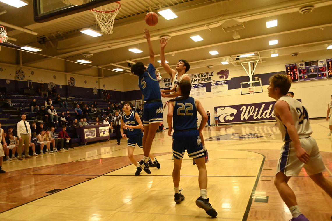 Wildcats surprise Winnebago for OT win