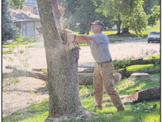 Wausa’s Thabor Lutheran Church lost its steeple due to the winds a severe thunderstorm brought to the community on July 10. Doug Kristensen (right) uses a chainsaw on July 11 to bring down a tree. Mark Mahoney | Wausa Gazette