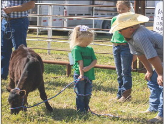 Taylynn Hansen talks with the judge during the bucket calf show.