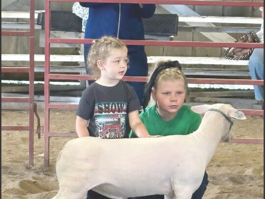 Stella and Maya Brunmiels show off their lamb during the sheep show.