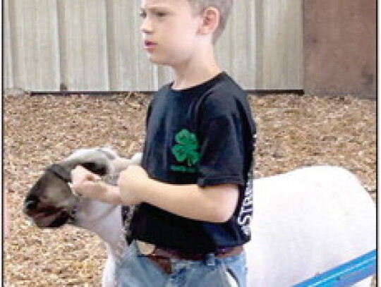 Alaina Schulz (above) shows a gilt during the Pierce County Fair. The pig earned a purple ribbon and Schulz earned a blue ribbon for showmanship. Above right, Abbigail Backer’s wooden door hangar received a purple ribbon. Members of Randolph’s Four Cl