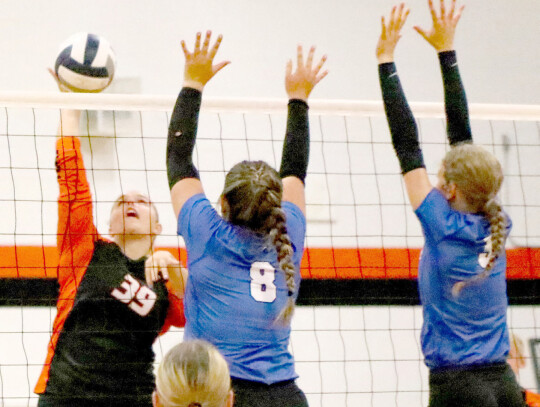 Delaney Johnson of Laurel-Concord-Coleridge pushes the volleyball over the net, looking for a hole in the Pierce defense during action in last week’s contest with the Lady Bluejays. Sandra Cross | Laurel Advocate