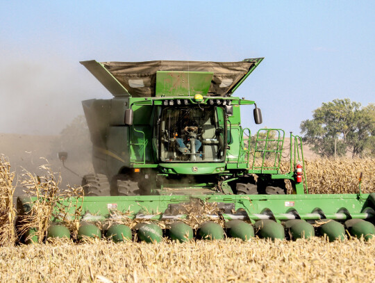 Area farmers took advantage of some good weather recently to hit the fields as harvest season is here. (above) Lucas Miller, in the combine; Adam Miller, in the grain truck; and Jon Graham in the combine, work together to harvest a field near Laurel. (lef