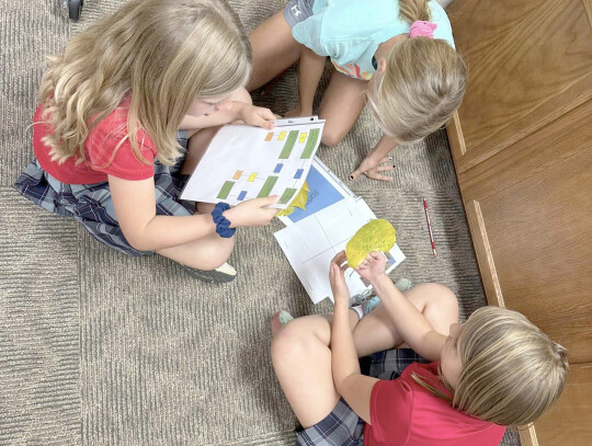 Bristol Theone, Amanda Heimes and Cara Sayler answer yes or no questions to identify their leaf at Hartington Public Library.