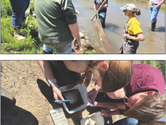 Becky Ravenkamp (above) explains the water quality sample collection methods and the parameters that are evaluated in a sample. Cassidy Wessel (middle) explains the different tiers of species that are signifiers for stream health. Jason Thiele (bottom) an