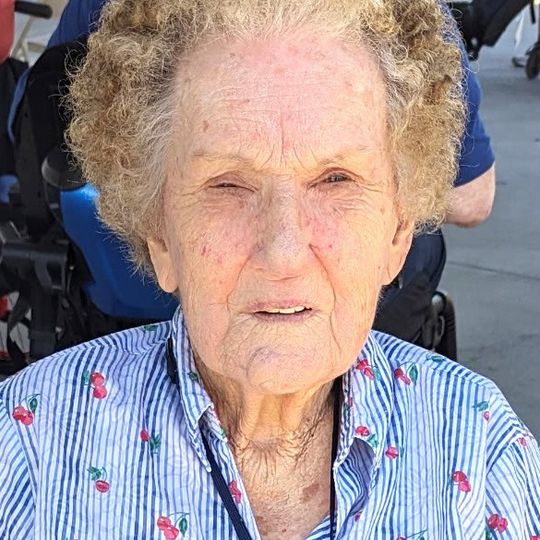 Mary Ann Seibert Mary Ann Seibert